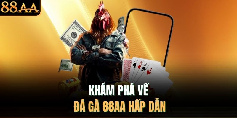 Khám phá về đá gà 88AA hấp dẫn