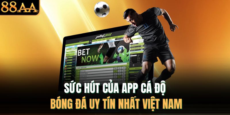 Sức hút của app cá độ bóng đá uy tín nhất Việt Nam