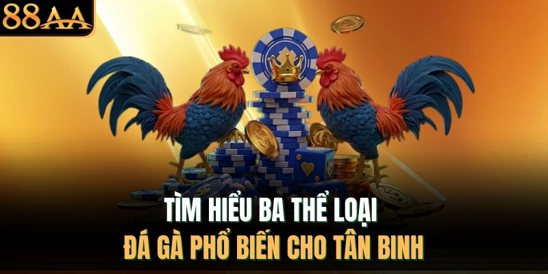 Tìm hiểu ba thể loại đá gà phổ biến cho tân binh